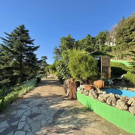La Casa De Tomate *